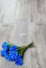 Alpine Floor Classic Light 3.5мм Ясень Серый ЕСО134-55 фото 2 | FLOORDEALER