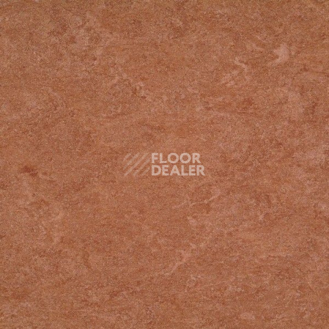 Линолеум Gerflor Marmorette DLW 2.5mm 121-003 фото 1 | FLOORDEALER