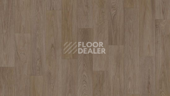 Линолеум Tarkett Acczent Pro OREN 2 фото 1 | FLOORDEALER