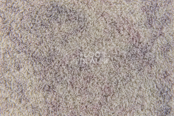 Forbo Flotex Colour Calgary 50*50 t 590011 Calgary Quartz фото 2 | FLOORDEALER