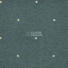 Ковролин Big Fidenza 241 фото 1 | FLOORDEALER
