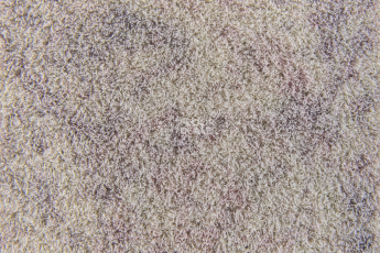 Forbo Flotex Colour Calgary 50*50 t 590011 Calgary Quartz фото 2 | FLOORDEALER