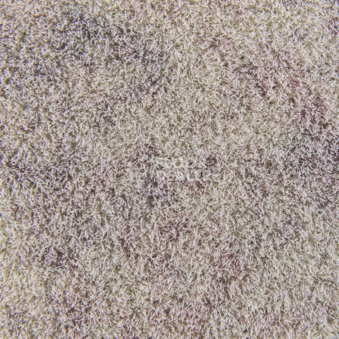 Forbo Flotex Colour Calgary 50*50 t 590011 Calgary Quartz фото 2 | FLOORDEALER