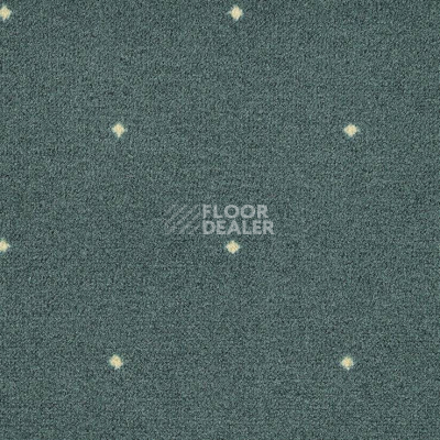Ковролин Big Fidenza 241 фото 1 | FLOORDEALER