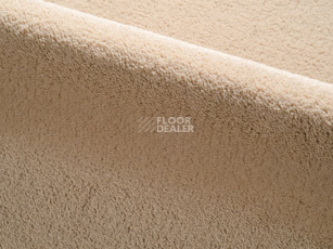 Ковролин Radici Dolce Vita 9805 фото 1 | FLOORDEALER