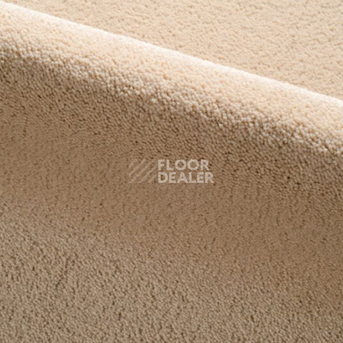 Ковролин Radici Dolce Vita 9805 фото 1 | FLOORDEALER