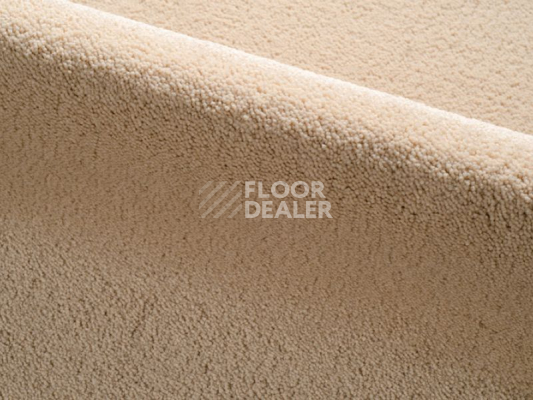 Ковролин Radici Dolce Vita 9805 фото 1 | FLOORDEALER