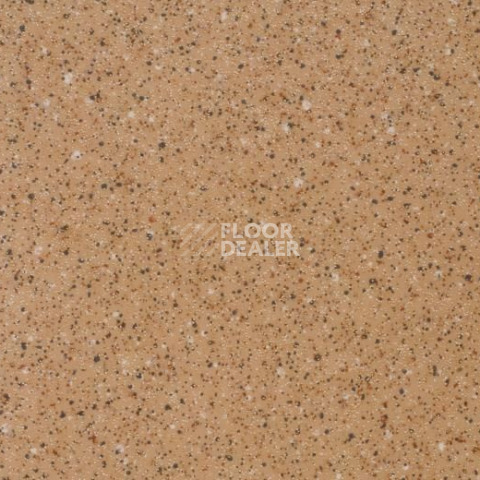 Линолеум Forbo Smaragd Classic 6125 фото 1 | FLOORDEALER