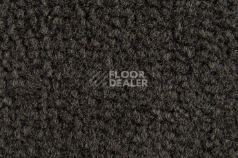 Balsan Les Best 990 фото 2 | FLOORDEALER