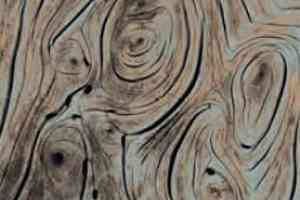 Ковролин M2 Carpets Reality Rea 01 a фото  | FLOORDEALER