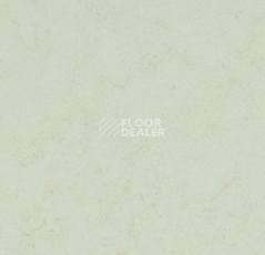 Линолеум Forbo Marmoleum Solid Concrete 3749 Arctic фото 1 | FLOORDEALER