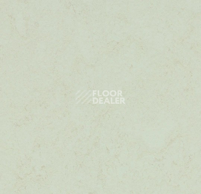Линолеум Forbo Marmoleum Solid Concrete 3749 Arctic фото 1 | FLOORDEALER