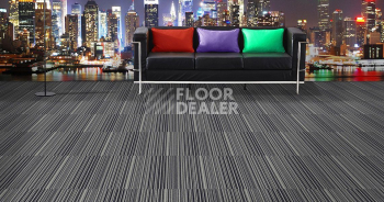Standard Carpets Road Trip 673 фото 2 | FLOORDEALER