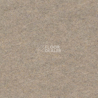 Ковролин Finett Feinwerk 403512 фото 1 | FLOORDEALER