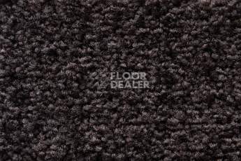 Balsan Serenite 790 фото 2 | FLOORDEALER