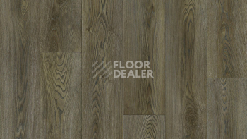 Линолеум Tarkett Bonus Nero 3 фото 1 | FLOORDEALER