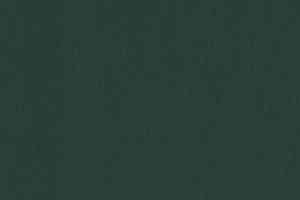 Линолеум Gerflor Uni Walton 0035 Racing Green фото  | FLOORDEALER