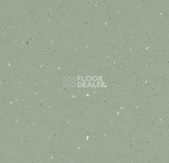 Линолеум Forbo SureStep Original 172192 light kelp фото 1 | FLOORDEALER