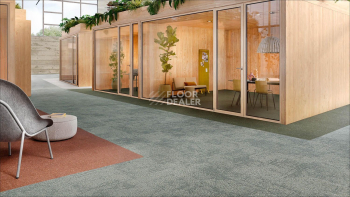 Desso Recharge ac 41 9990 фото 2 | FLOORDEALER