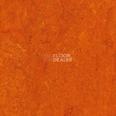 Линолеум Gerflor Marmorette DLW 2.5mm 121-117 фото 1 | FLOORDEALER