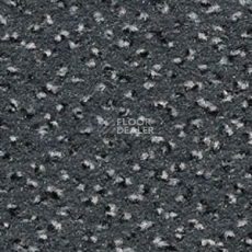Ковролин Infloor Cayenne 560 фото 1 | FLOORDEALER