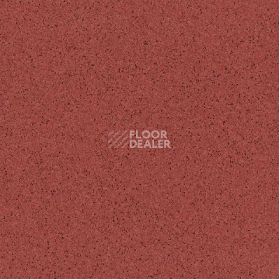 Линолеум Tarkett Primo Plus Marine 306 фото 1 | FLOORDEALER