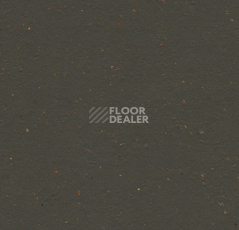 Линолеум Forbo Marmoleum Solid Cocoa 3591 black tea фото 1 | FLOORDEALER