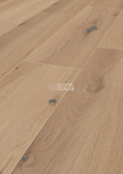 Ламинат Terhurne Trend Line 327мм 1957  Дуб Миндально-Бежевый  1101021684 фото 1 | FLOORDEALER