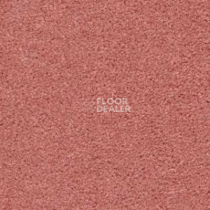 Ковролин Radici Montecarlo 2 фото 1 | FLOORDEALER