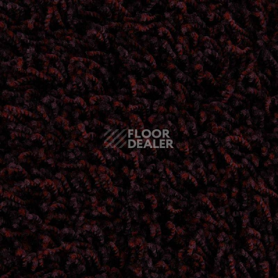 Ковролин Edel Vivaldi 185 фото 1 | FLOORDEALER