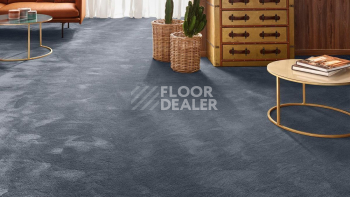 Vorwerk Exclusive 1060 Safira 3q47 фото 2 | FLOORDEALER