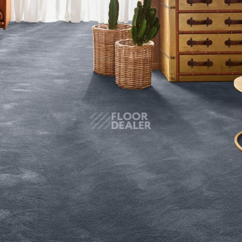 Vorwerk Exclusive 1060 Safira 3q47 фото 2 | FLOORDEALER