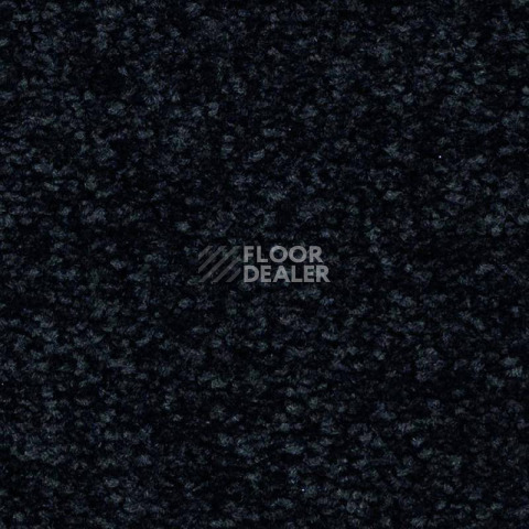 Ковролин Balsan First Class 999 фото 1 | FLOORDEALER