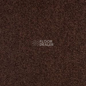 Ковровая плитка Balsan Serenite Dalle 791 Serenite Dalle фото 1 | FLOORDEALER