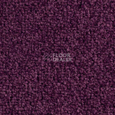 Ковровая плитка Balsan Bolero 890 фото 1 | FLOORDEALER