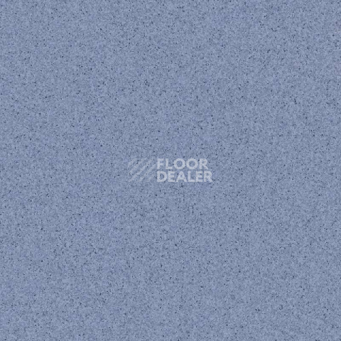 Линолеум Tarkett Primo Plus 309 фото 1 | FLOORDEALER