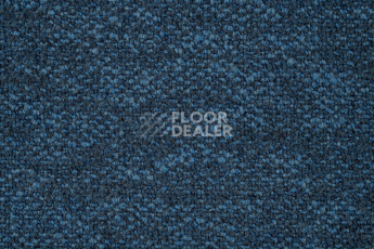 Haima Coral 23 фото 2 | FLOORDEALER
