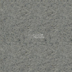 Линолеум Lg Delight DLT9109 фото 1 | FLOORDEALER