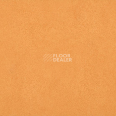 Линолеум Gerflor Taralay Initial Compact (Plain & allover look) 0966 Miami Abricot фото 1 | FLOORDEALER