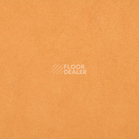 Линолеум Gerflor Taralay Initial Compact (Plain & allover look) 0966 Miami Abricot фото 1 | FLOORDEALER