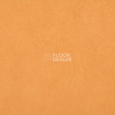 Линолеум Gerflor Taralay Initial Compact (Plain & allover look) 0966 Miami Abricot фото 1 | FLOORDEALER