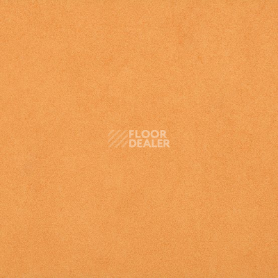 Линолеум Gerflor Taralay Initial Compact (Plain & allover look) 0966 Miami Abricot фото 1 | FLOORDEALER