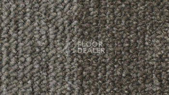 Ковровая плитка Desso Essence Structure 9965 фото 1 | FLOORDEALER