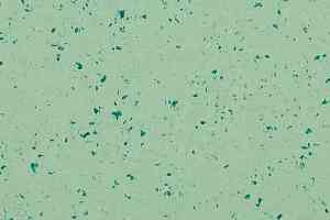Линолеум Gerflor Mipolam BioControl Clean 5417 Foggy Hill фото  | FLOORDEALER