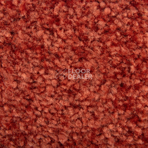 Balsan Ultrasoft Dalle 550 фото 2 | FLOORDEALER