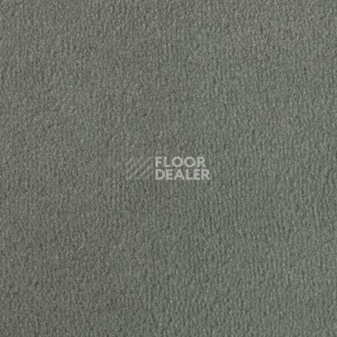 Ковролин Vorwerk Passion 1000/Modena Vorwerk 5b47 фото 1 | FLOORDEALER