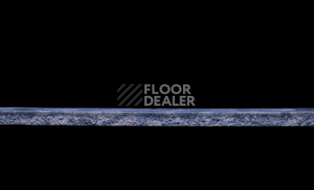 Tarkett Primo Plus 310 фото 3 | FLOORDEALER