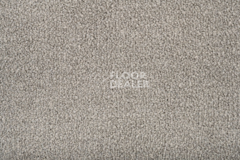 Standard Carpets Mountain View 4371 фото 2 | FLOORDEALER