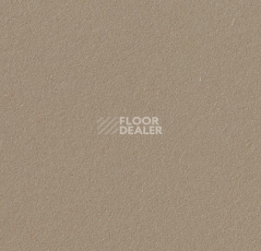 Линолеум Forbo Marmoleum Bulletin Board 2067 фото 1 | FLOORDEALER