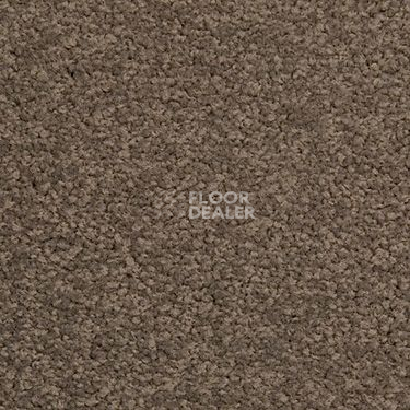Ковровая плитка Modulyss Cambridge 823 фото 1 | FLOORDEALER